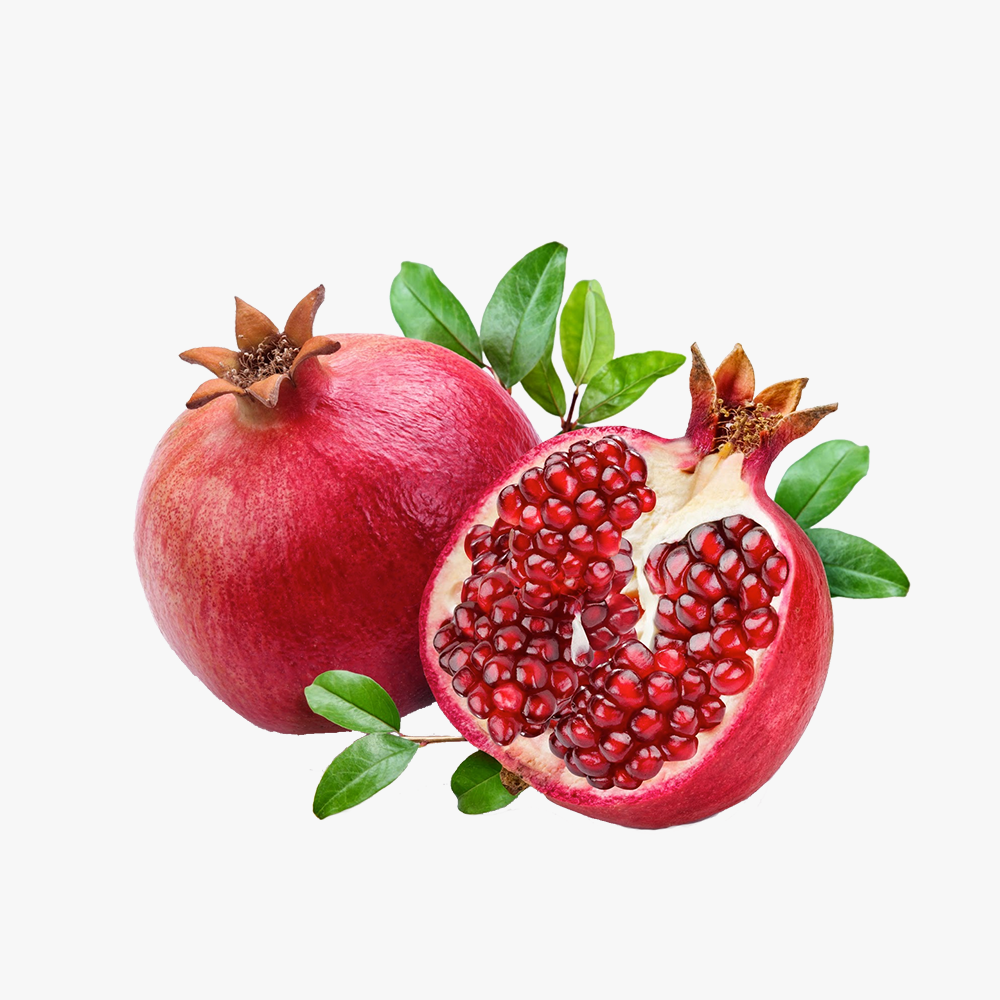 Organic_components_9