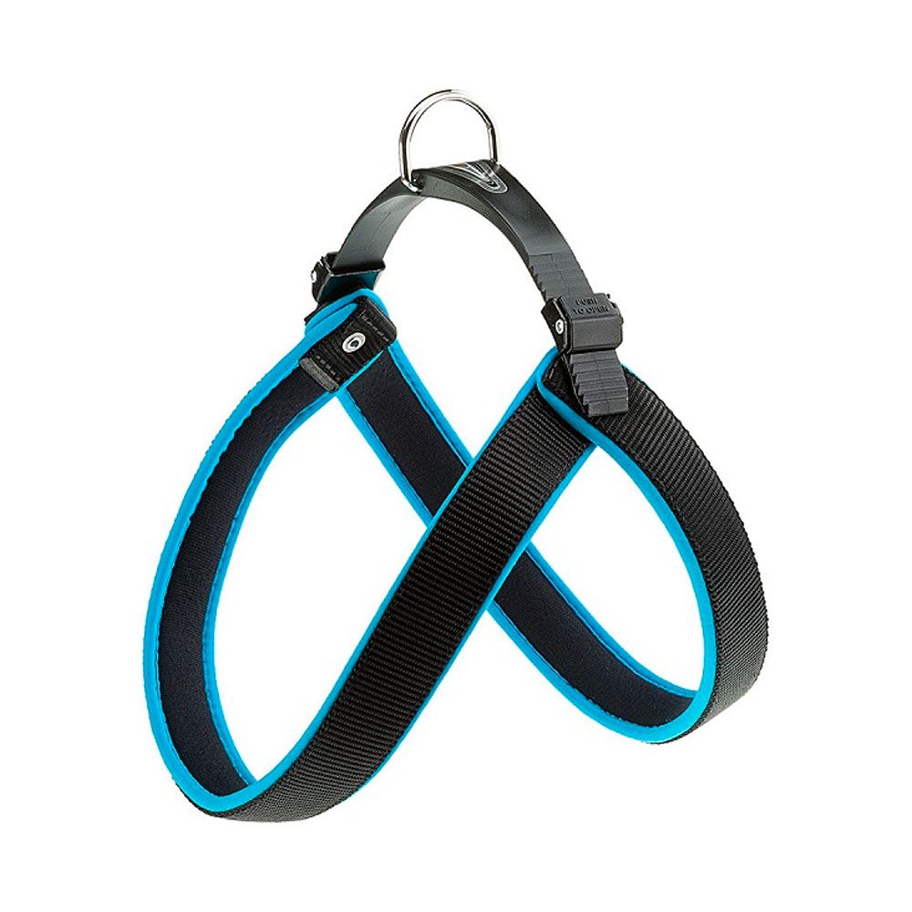 Pets_components_0000s_0005_Layer 20
