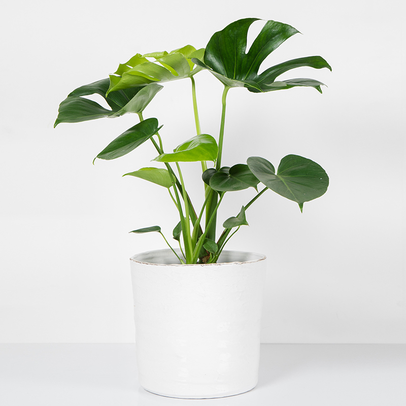 Products_imgs11